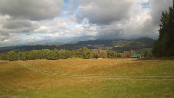 Zvičina