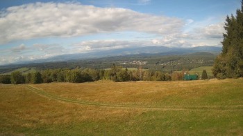 Zvičina