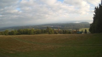 Zvičina