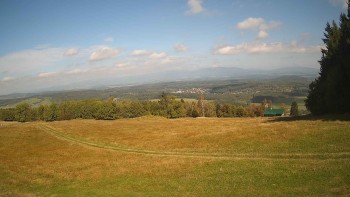 Zvičina
