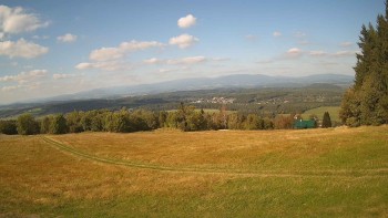Zvičina
