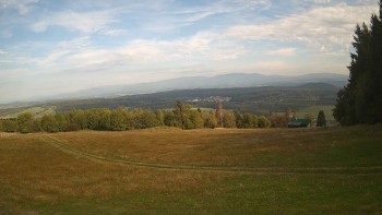 Zvičina