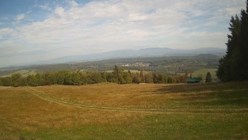 Zvičina