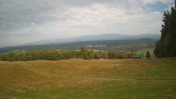 Zvičina