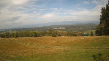 Zvičina