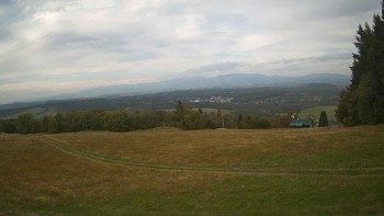 Zvičina