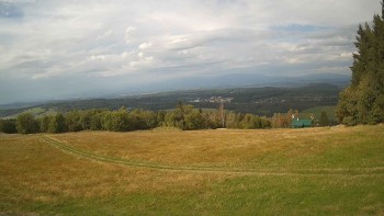 Zvičina