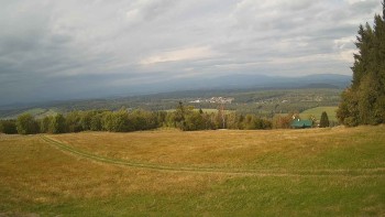 Zvičina