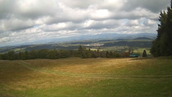 Zvičina