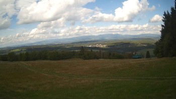 Zvičina