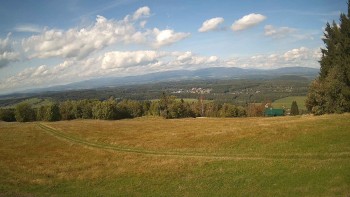 Zvičina