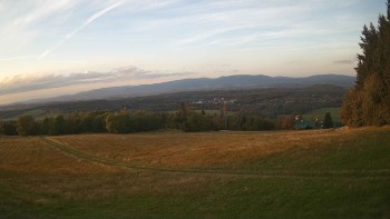 Zvičina