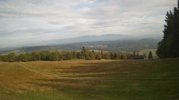 Zvičina