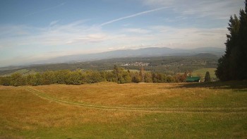 Zvičina