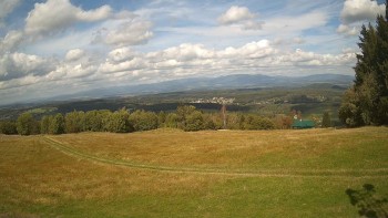 Zvičina