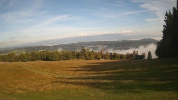 Zvičina