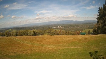 Zvičina