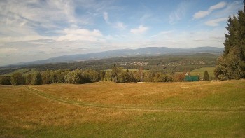 Zvičina