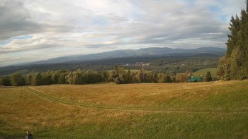 Zvičina