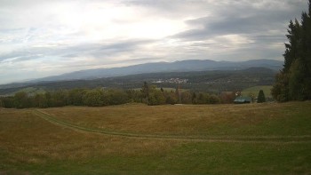 Zvičina