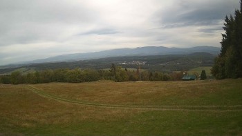 Zvičina