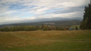 Zvičina