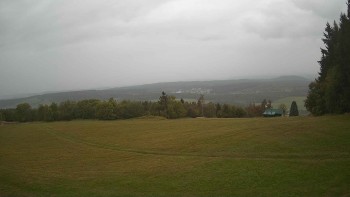 Zvičina