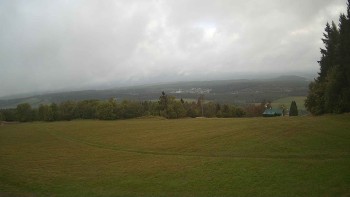 Zvičina