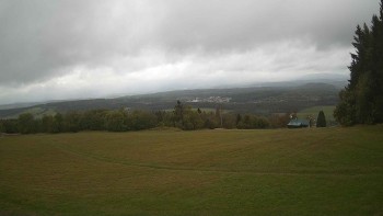 Zvičina