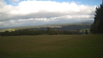 Zvičina