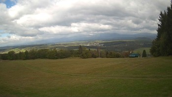 Zvičina