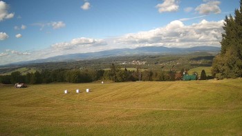 Zvičina