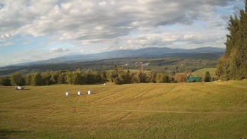 Zvičina