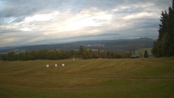 Zvičina