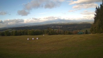 Zvičina