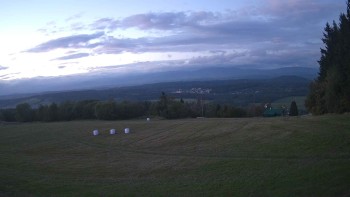 Zvičina