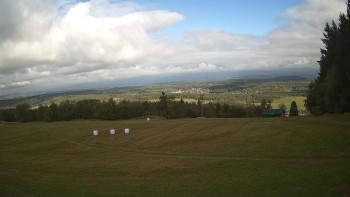 Zvičina