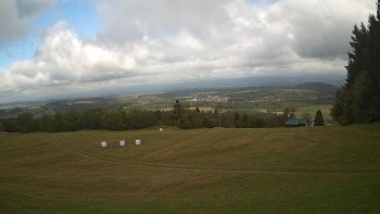 Zvičina