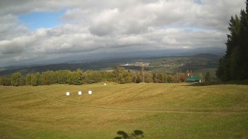 Zvičina
