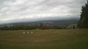 Zvičina