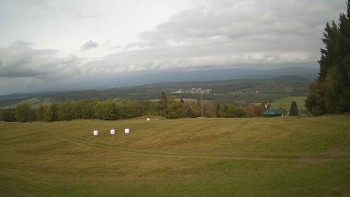 Zvičina