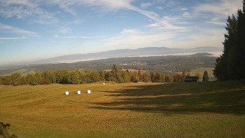 Zvičina