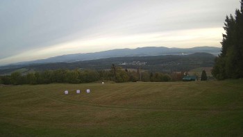 Zvičina