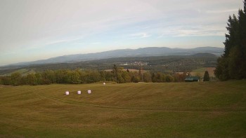 Zvičina