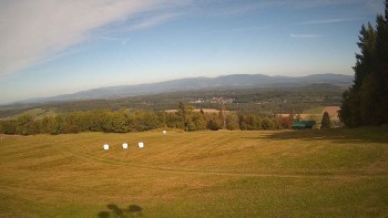 Zvičina