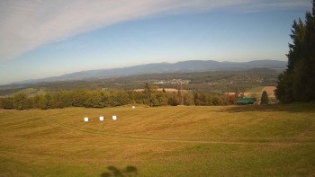 Zvičina