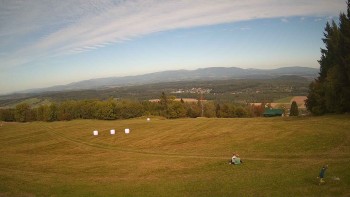 Zvičina