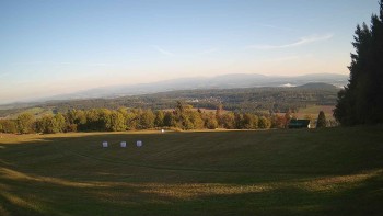 Zvičina