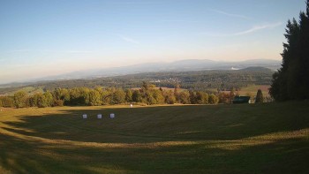 Zvičina