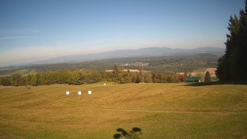 Zvičina